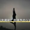 【2026年最新】吉祥寺のジムおすすめ11選