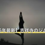 【2026年最新】吉祥寺のジムおすすめ11選